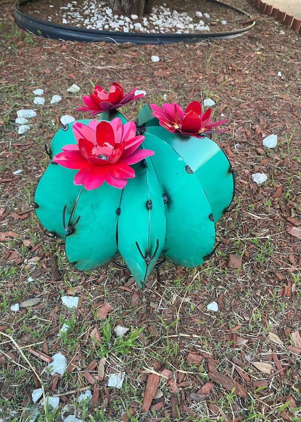 Bisnaga Cactus Turquoise